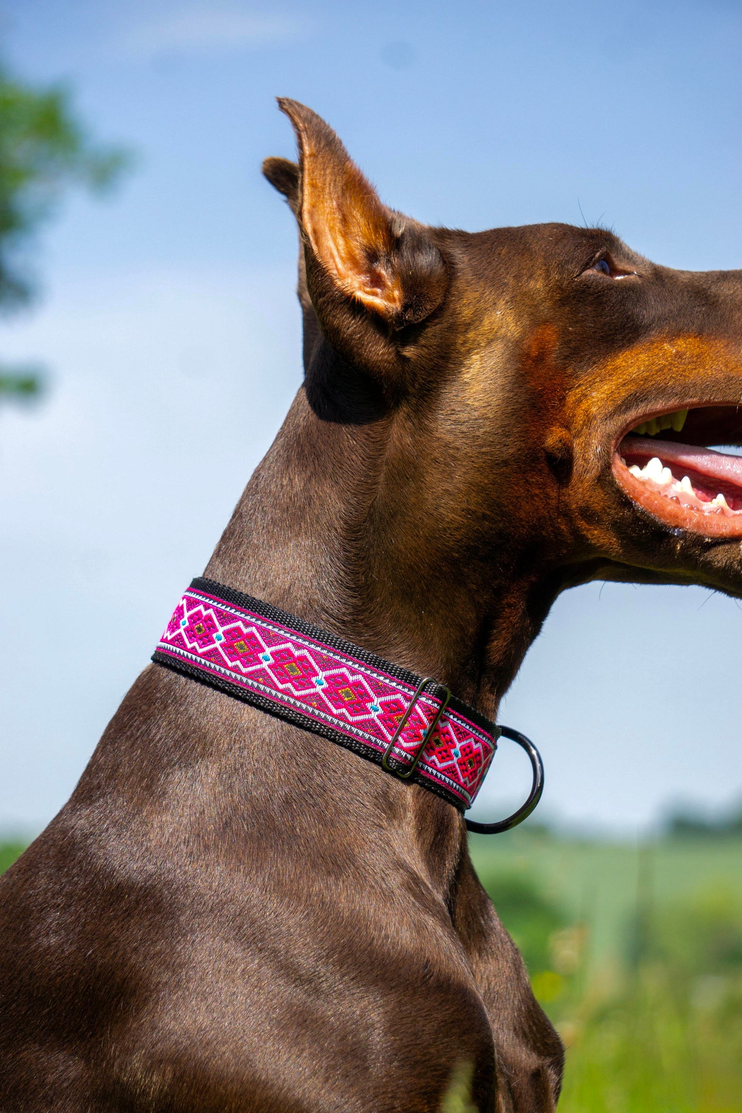 Halsband Wild Summer