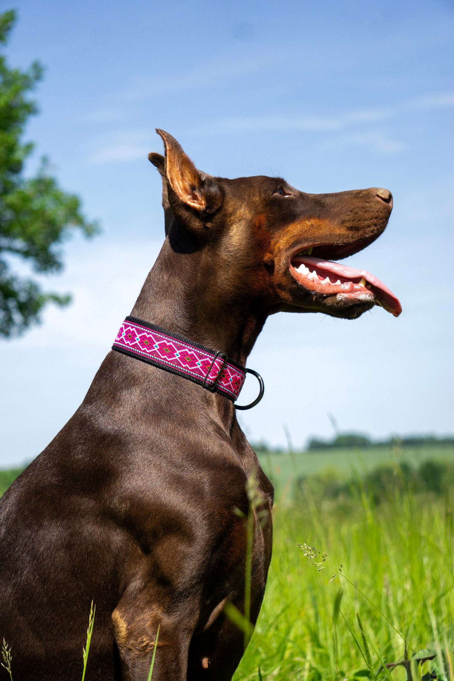 Halsband Wild Summer